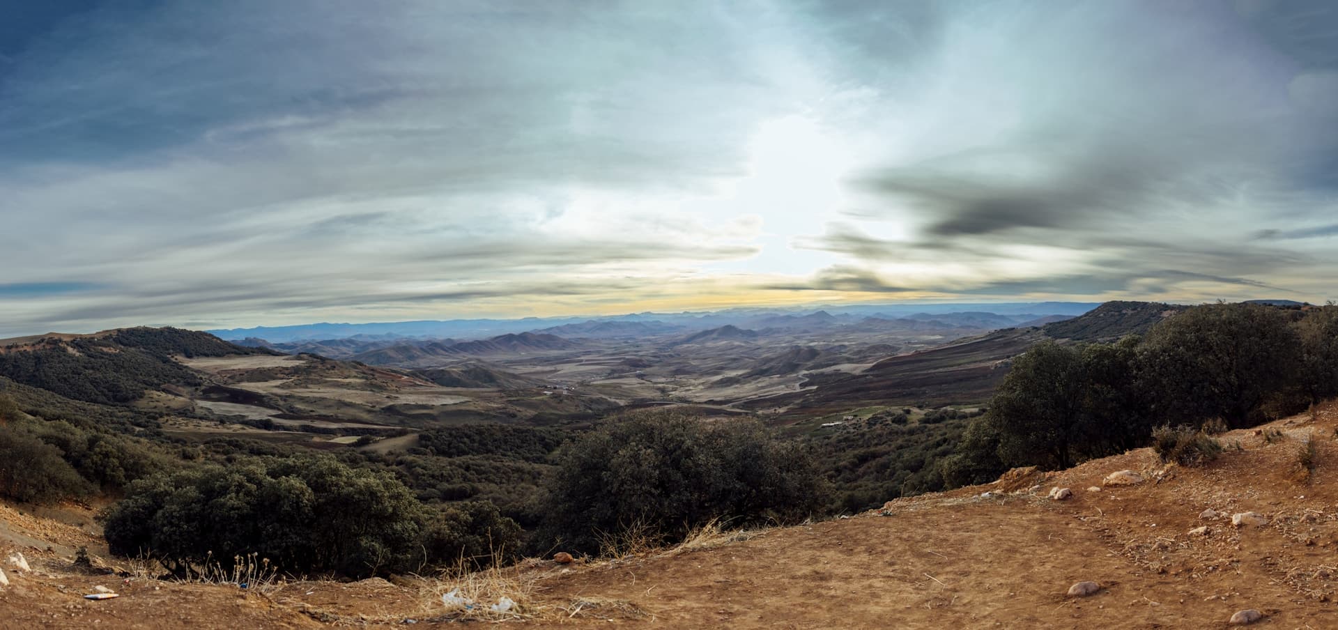 Macaques de Barbarie dans la forêt de cèdres d'Azrou — Moyen Atlas marocain