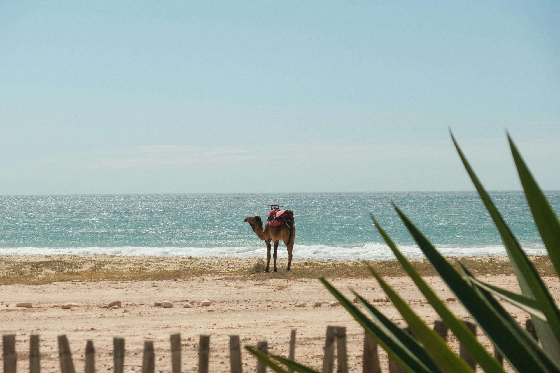 Médina de Salé et minarets vus depuis les berges du Bouregreg avec le pont Mohammed VI — Maroc atlantique