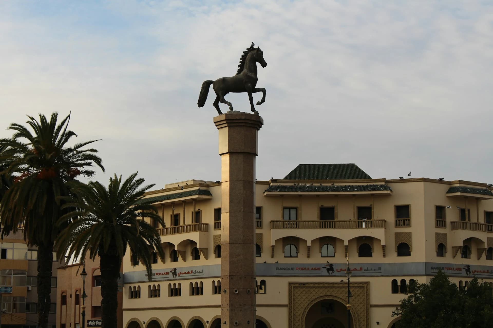 Plaine du Chaouia et ville de Settat — capitale de la région agricole la plus productive du Maroc